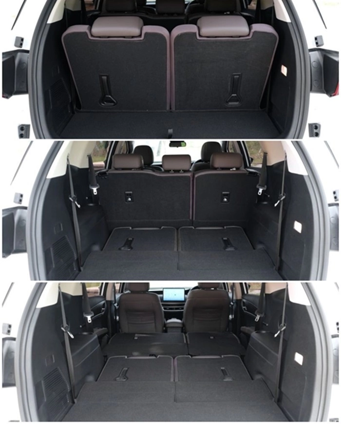 BYD M6 - 6